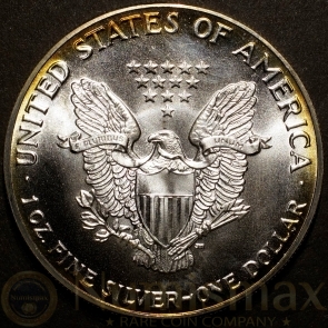 1987 Silver American Eagle | Colorized