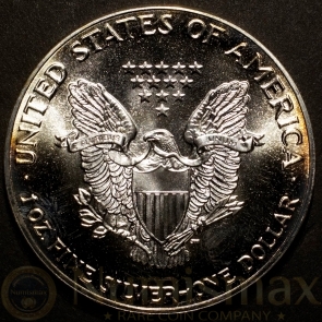 1988 Silver American Eagle | Colorized