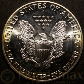 1989 Silver American Eagle | Colorized