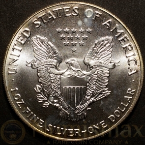 1993 Silver American Eagle | Colorized