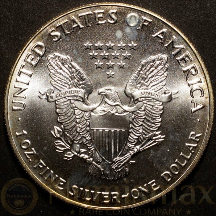 1993 Silver American Eagle | Colorized - Image 3