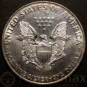 1997 Silver American Eagle | Colorized