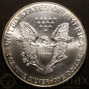 1998 Silver American Eagle | Colorized