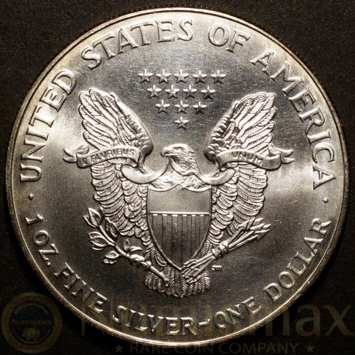 1998 Silver American Eagle | Colorized - Image 3