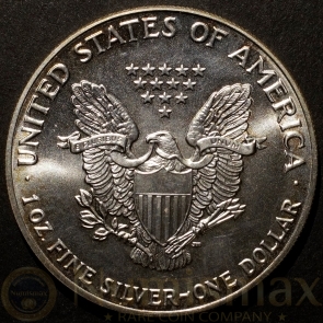 1991 Silver American Eagle | Colorized