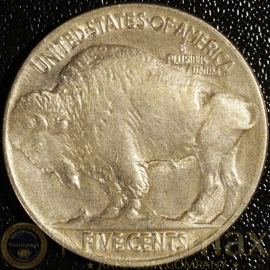 1919 Buffalo Nickel