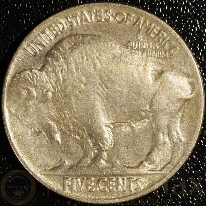 1919 Buffalo Nickel - Image 3