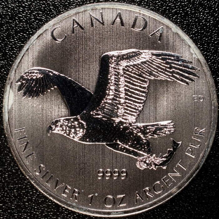 2014 Silver $5 Canada Bald Eagle .9999 - Image 2