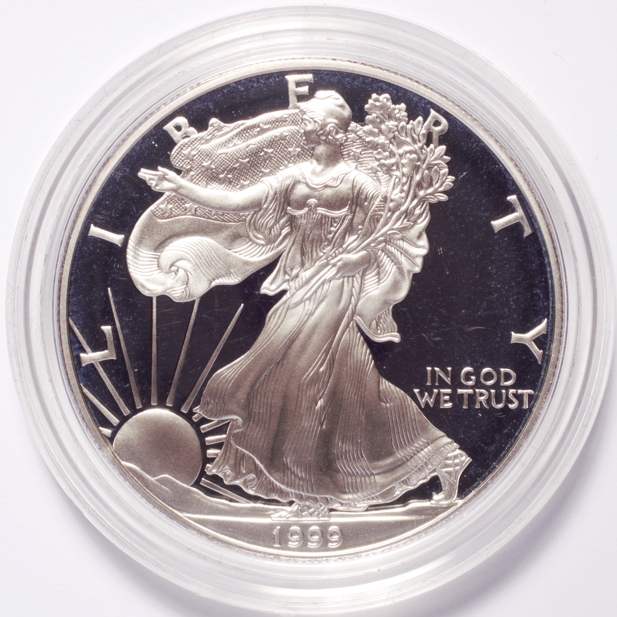 Silver American Eagle Dollar Proof Numismax