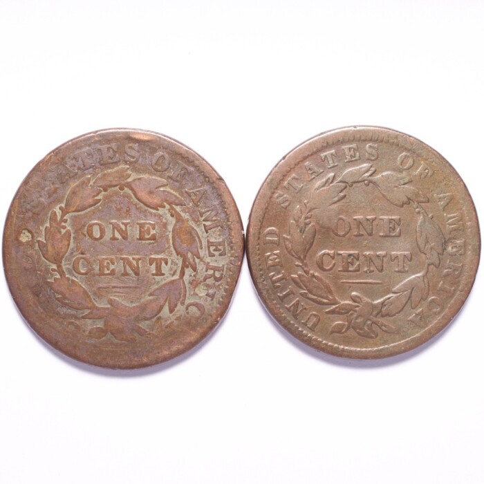 1832 & 1838 Large Cent Coronet Head 2-Coin Lot - Image 2