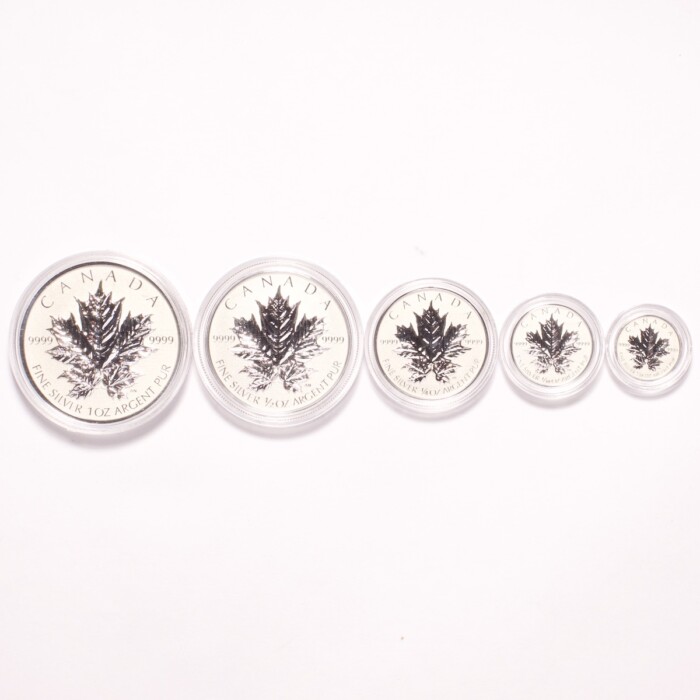 2013 Canadian Silver Maple Leaf Fractional Set 25th Anniversary - Image 2