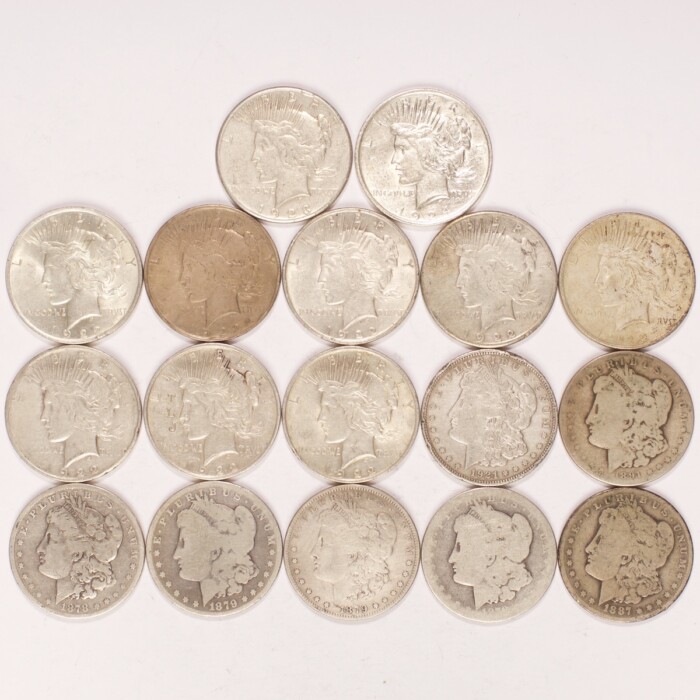 Morgan/Peace Silver Dollar Cull 17-Coin Lot