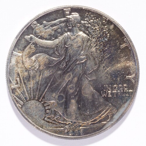 1989 Silver American Eagle Dollar