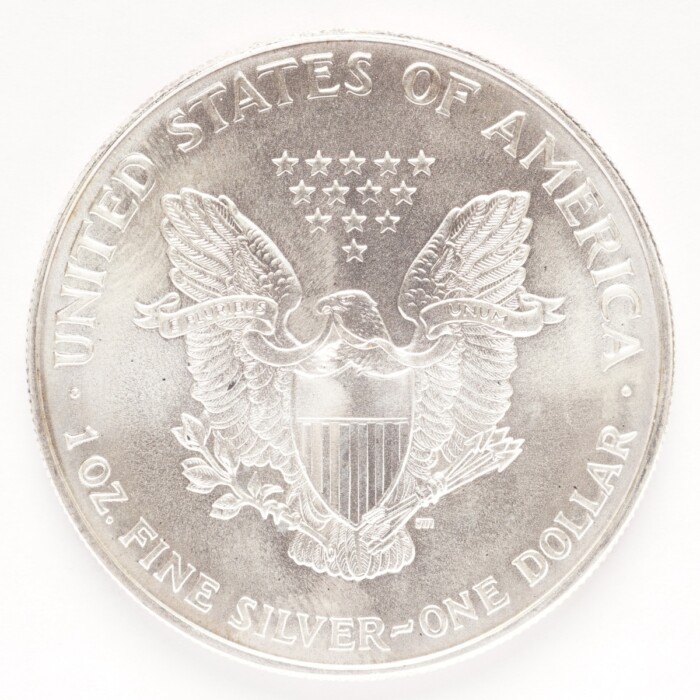 1994 Silver American Eagle Dollar - Image 2