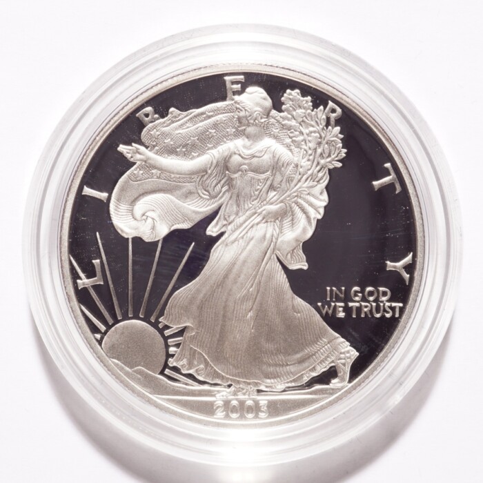 2003-W Silver American Eagle Dollar Proof - Image 2