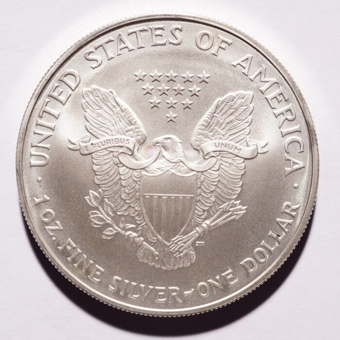 2006 Silver American Eagle Dollar - Image 2