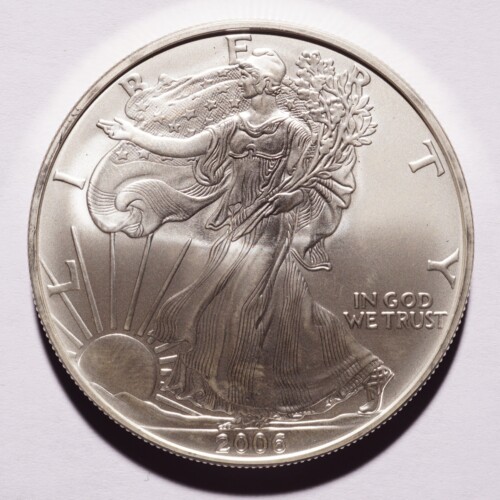 2006 Silver American Eagle Dollar