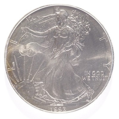 1993 Silver American Eagle Dollar - Image 3