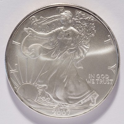 2007 Silver American Eagle Dollar - Image 5