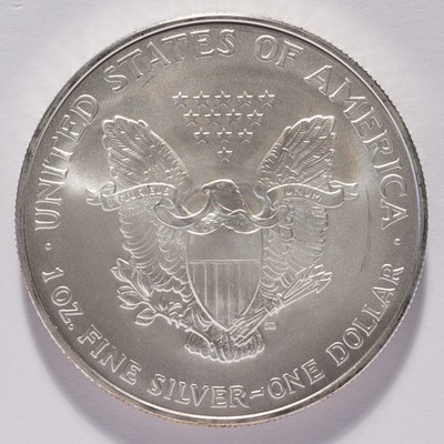2007 Silver American Eagle Dollar - Image 6