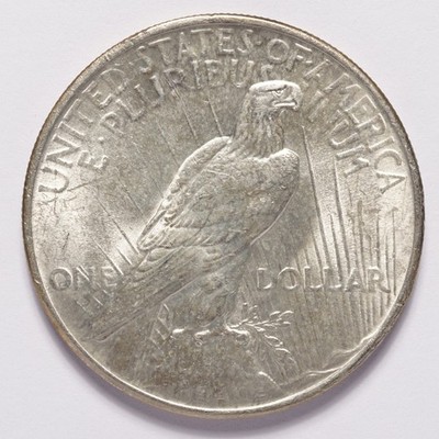 1924 Peace Silver Dollar BU - Image 4