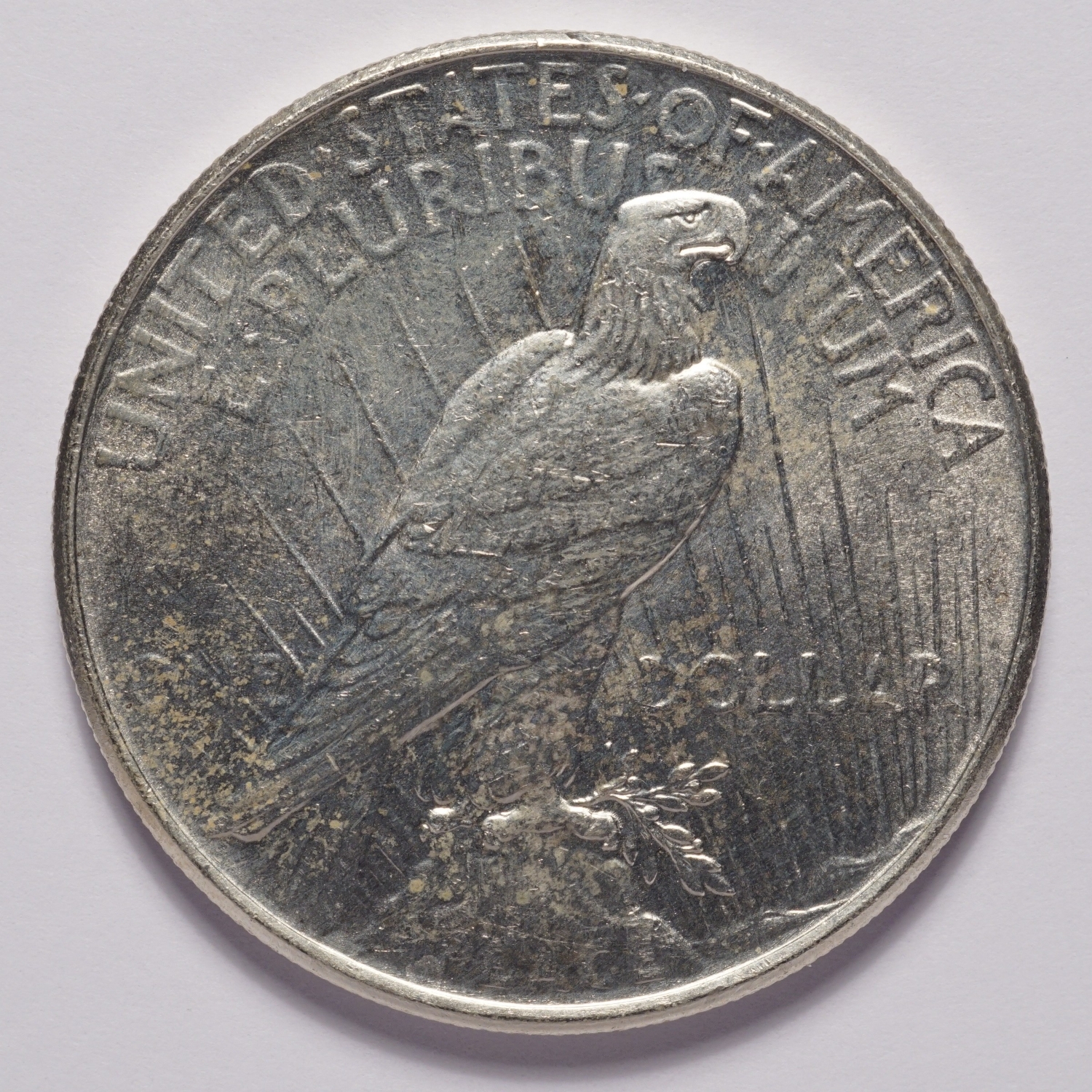 1924 Peace Silver Dollar Unc - Image 2